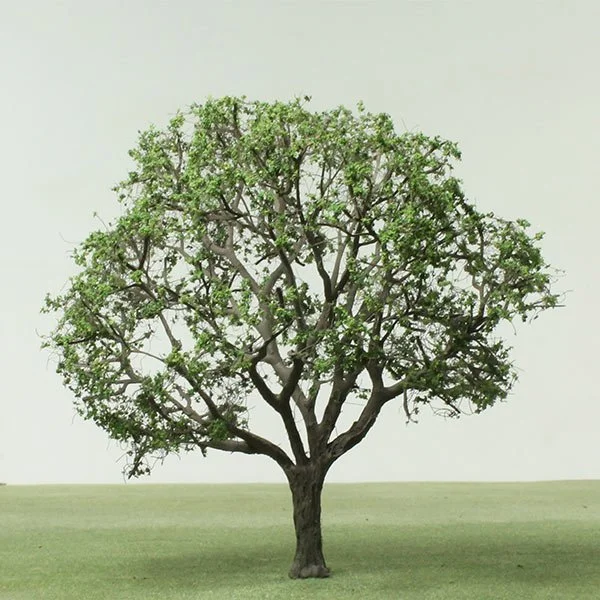 A scale model of an Oak tree