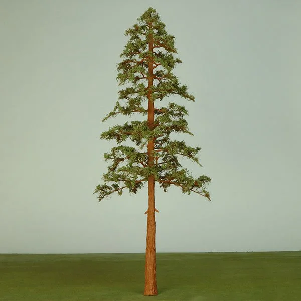 A scale model of a giant redwood tree