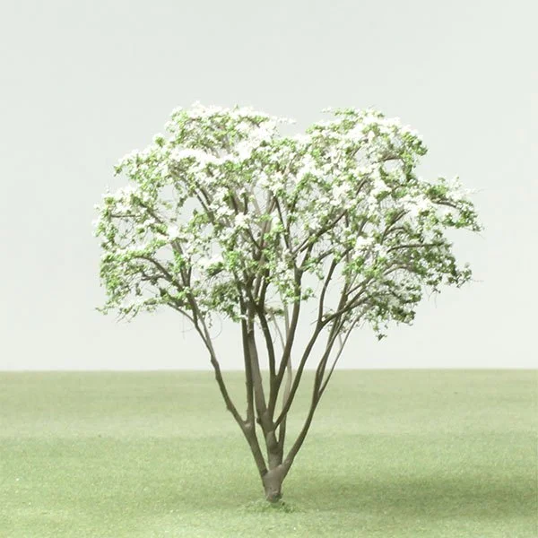 A small model tree with light green leaves and white flowers on a grassy field