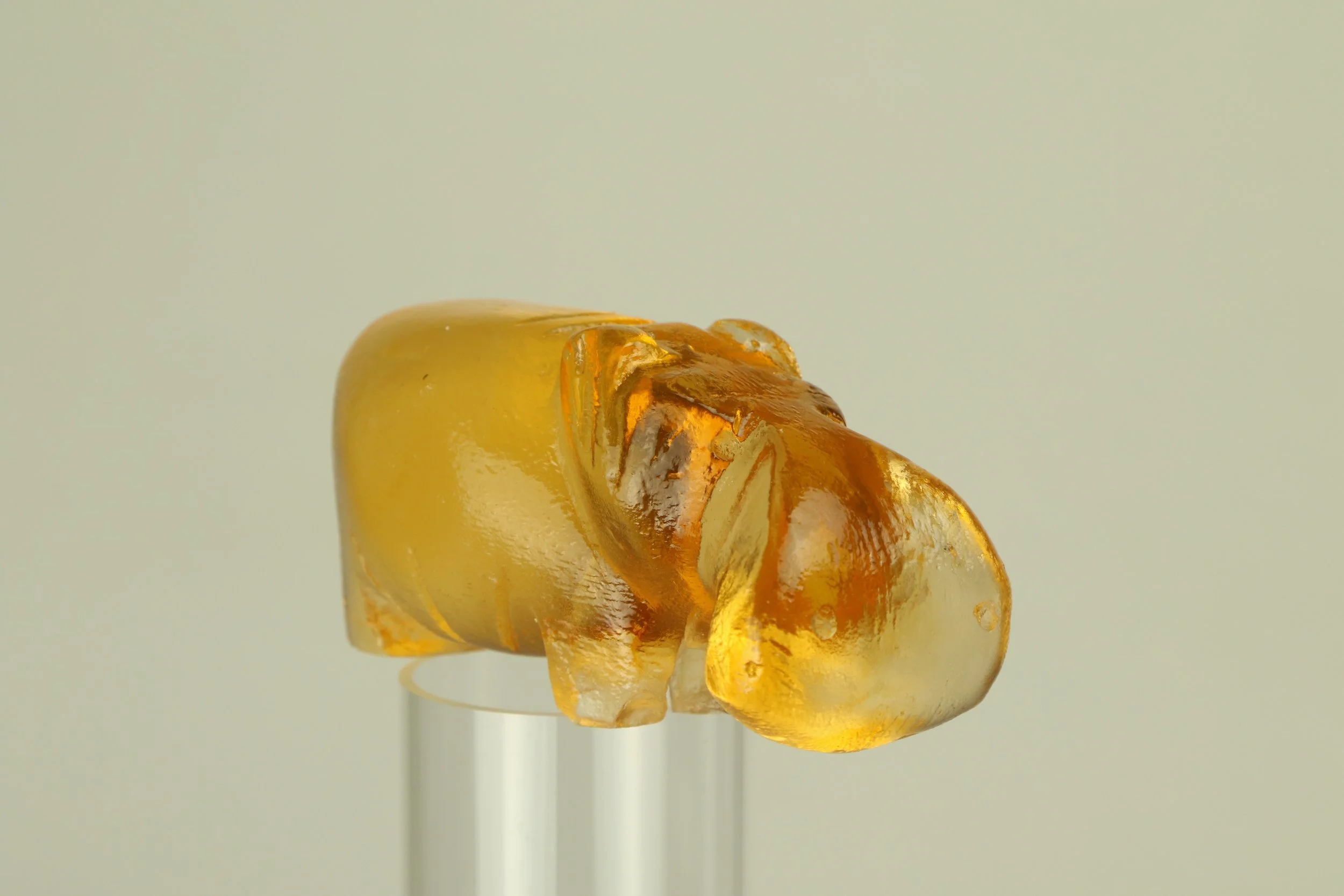 a clear cast sculpture of a hippo