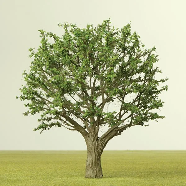 A scale model black mulberry tree