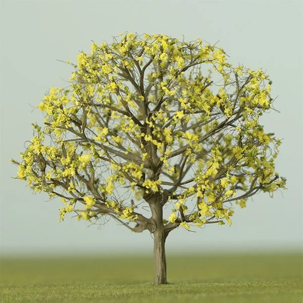 A scale model of a beech tree