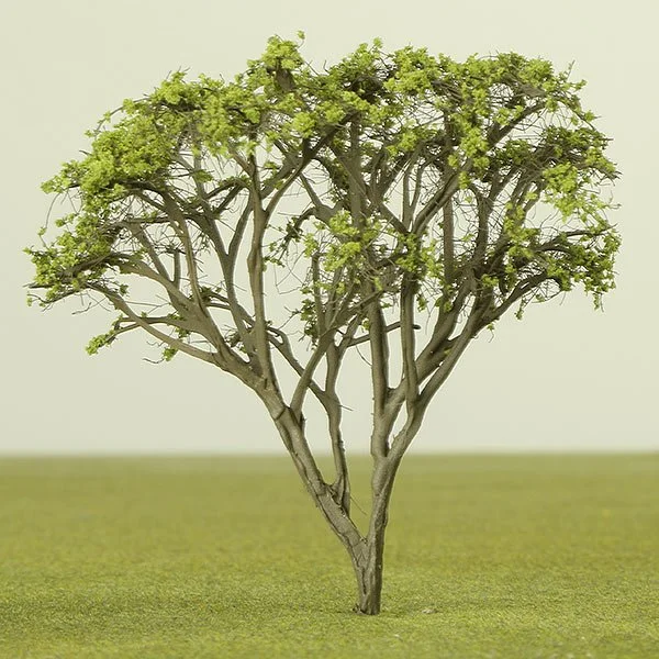 A scale model of a Maple tree