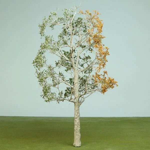 a scale model of a tree in winter, with little to no foliage
