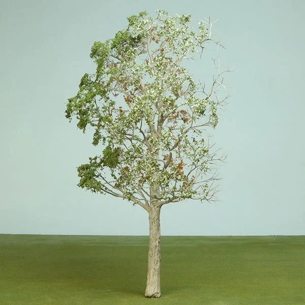a scale model of a tree with spring foliage