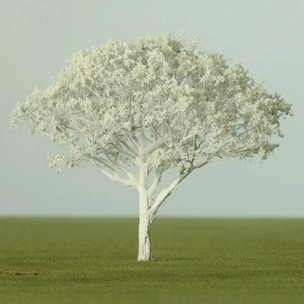 a scale model of Royal poinciana tree