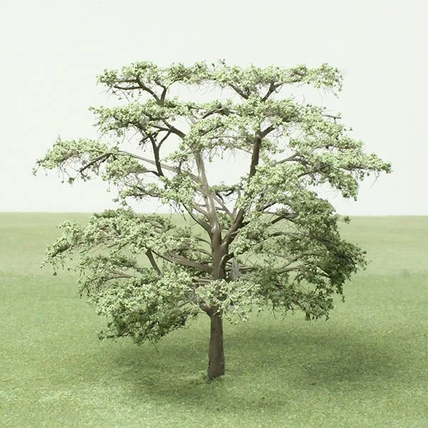 A scale model scholar / japanese pagoda tree