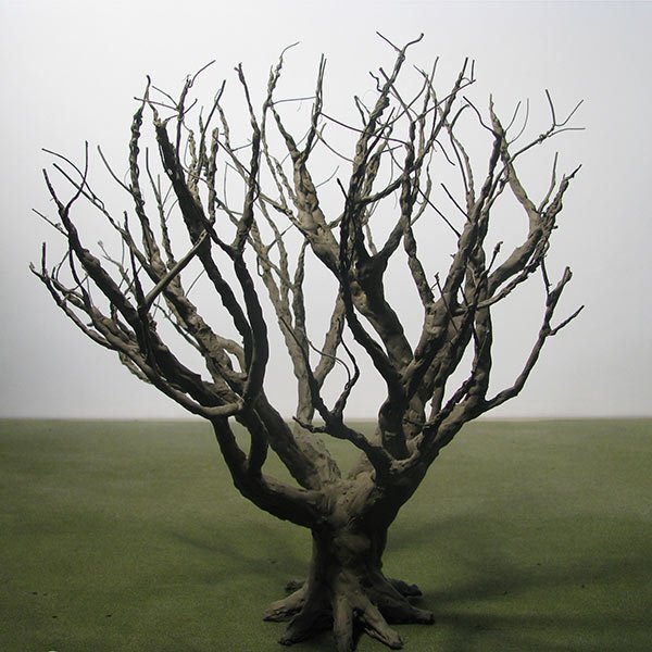a scale model of a tree in winter, with little to no foliage