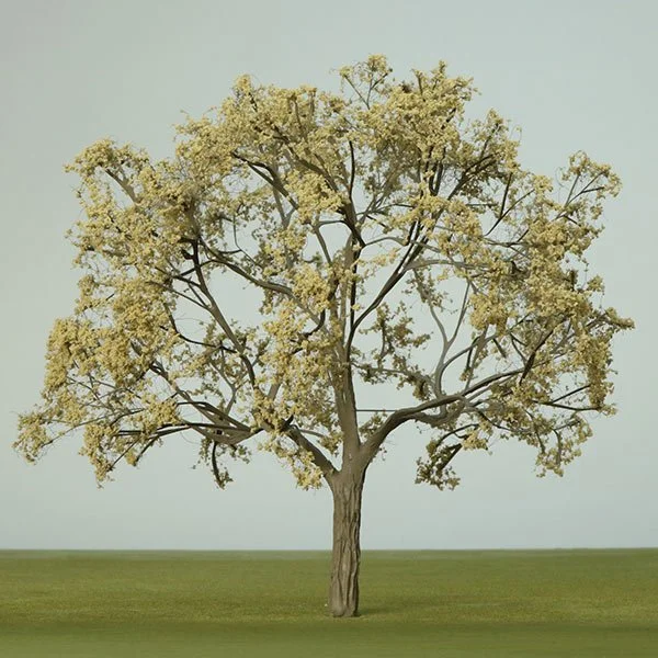A scale model of a Plane tree