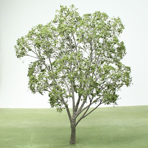 A scale model of a Plane tree