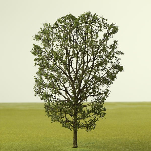 A scale model of a Plane tree