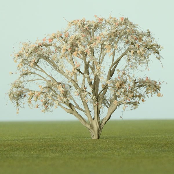 A scale model of an athel tree