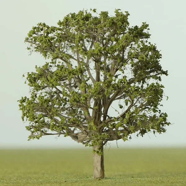 A scale model of an Oak tree