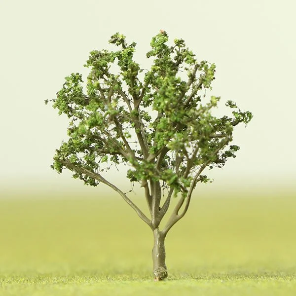 A scale model clusia rosea tree