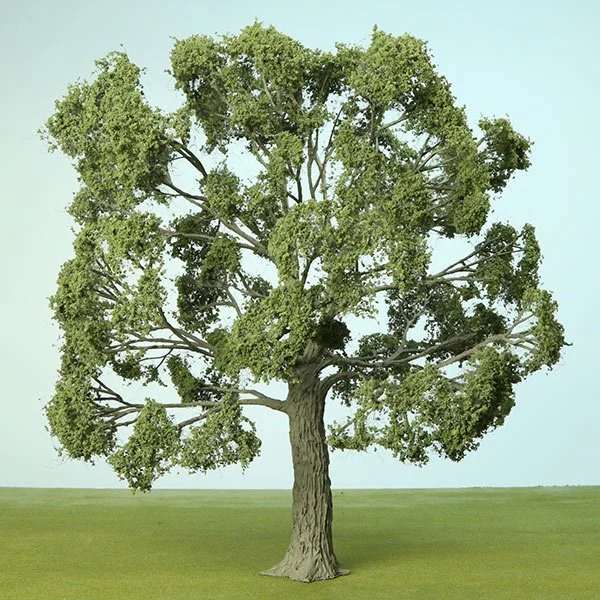 A scale model of an Oak tree