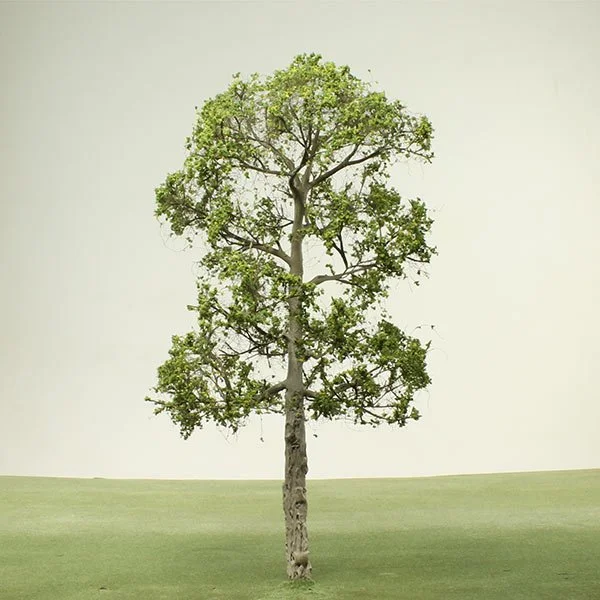 A scale model of a Plane tree