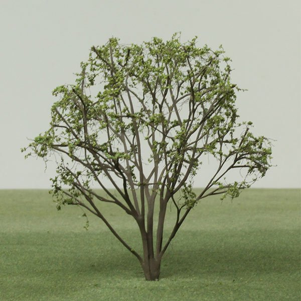 A scale model of a Hazel sapling