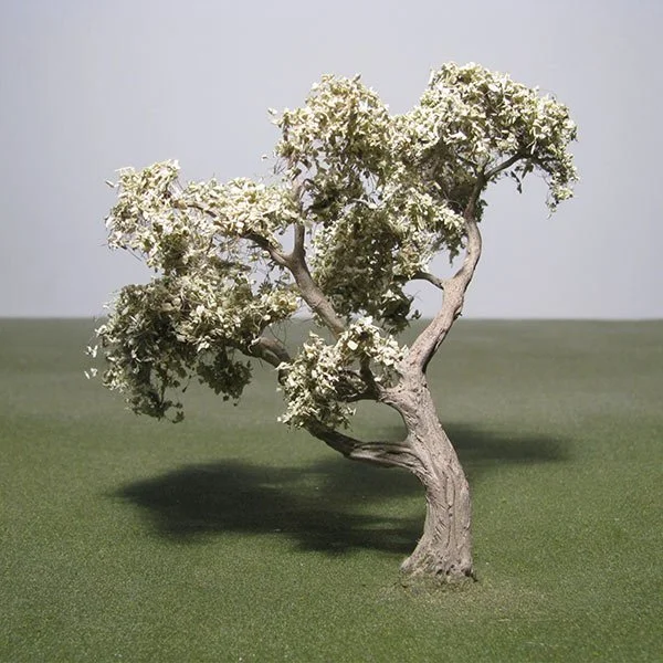 A scale model of an Olive tree