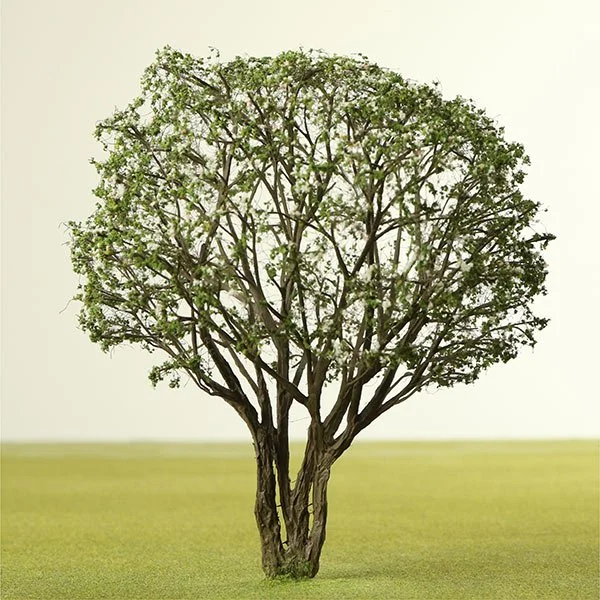 A scale model Quince tree
