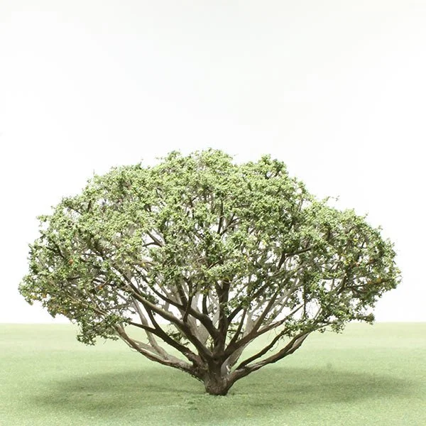 A scale model of a Pine tree