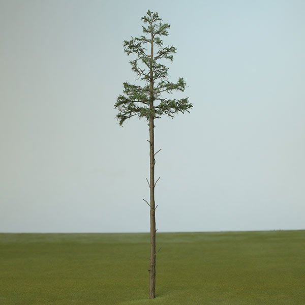 A scale model of a Pine tree