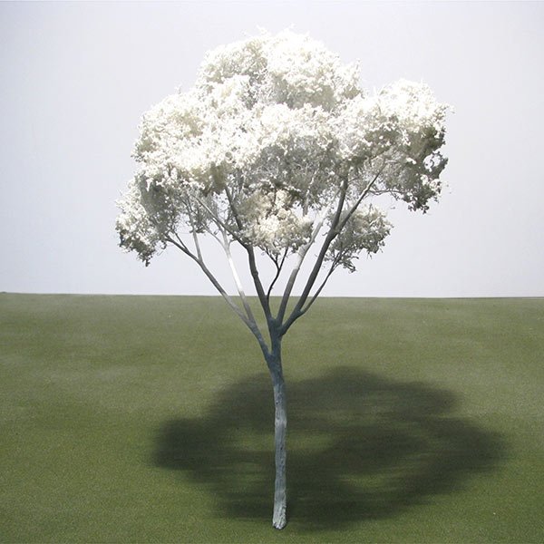 A scale model of a Plane tree
