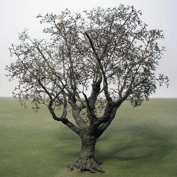a scale model of a tree in winter, with little to no foliage