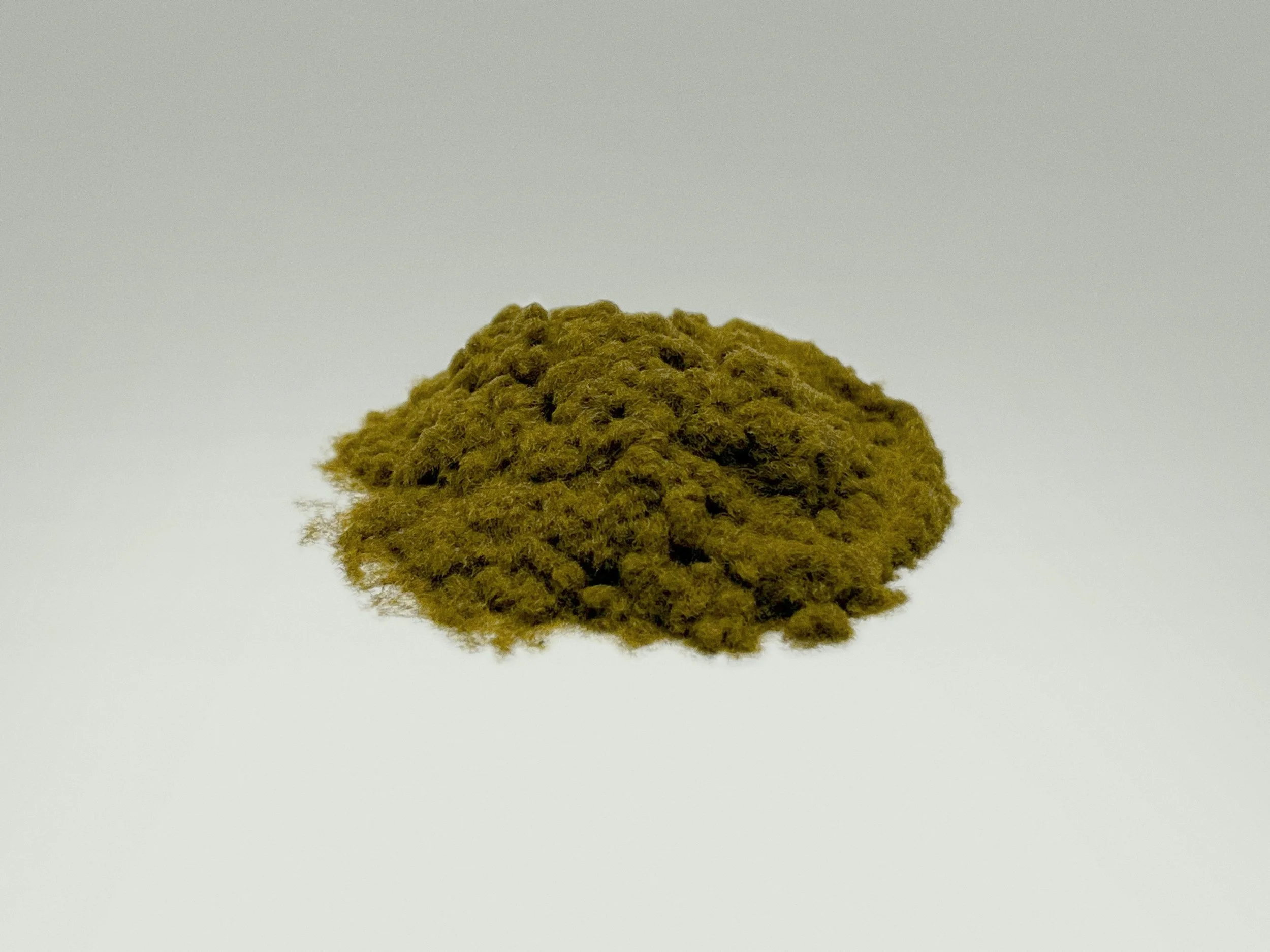 TEXTURE - GRASS MIX.jpg
