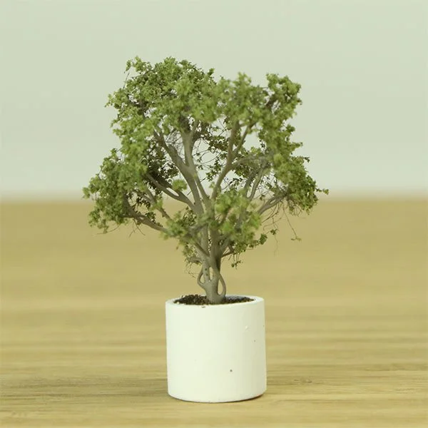 A scale model of a fig tree