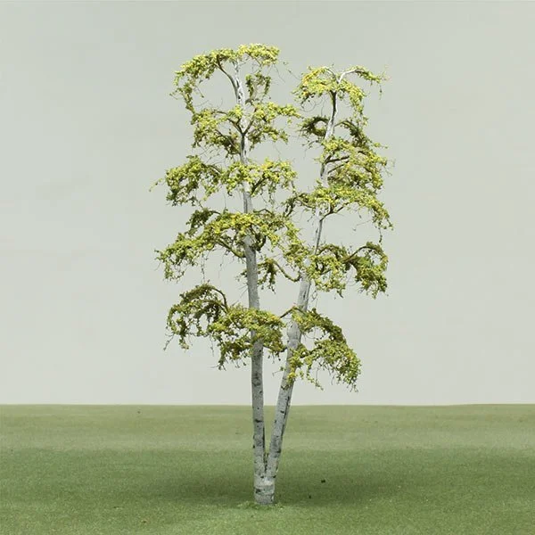 a model silver birch tree with green foliage standing on grass against a pale background.