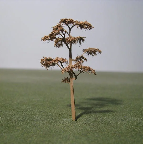 A scale model of a Pine tree
