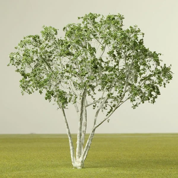 A scale model of a birch tree