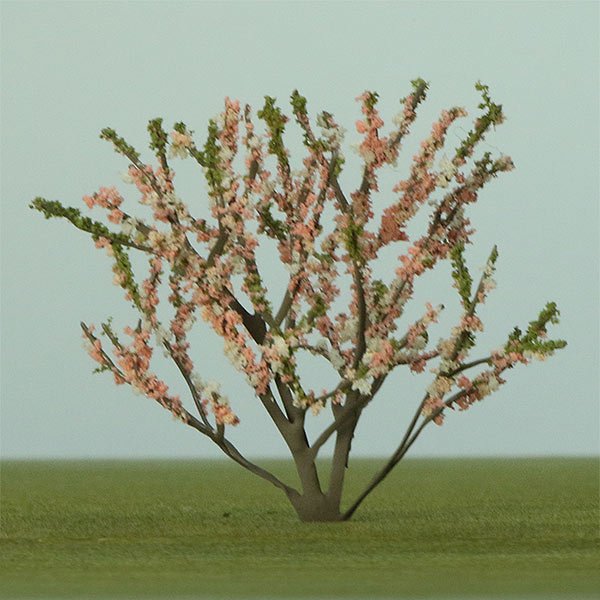 a scale model of redbud tree