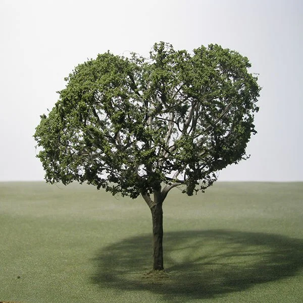 a scale model of a walnut tree