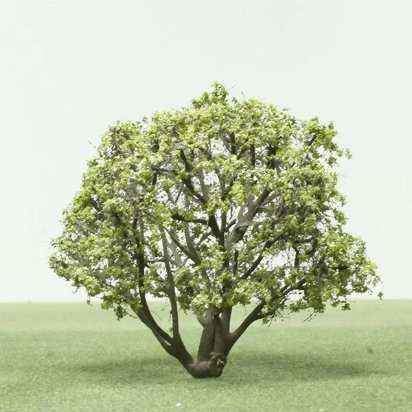 A scale model of an Oak tree