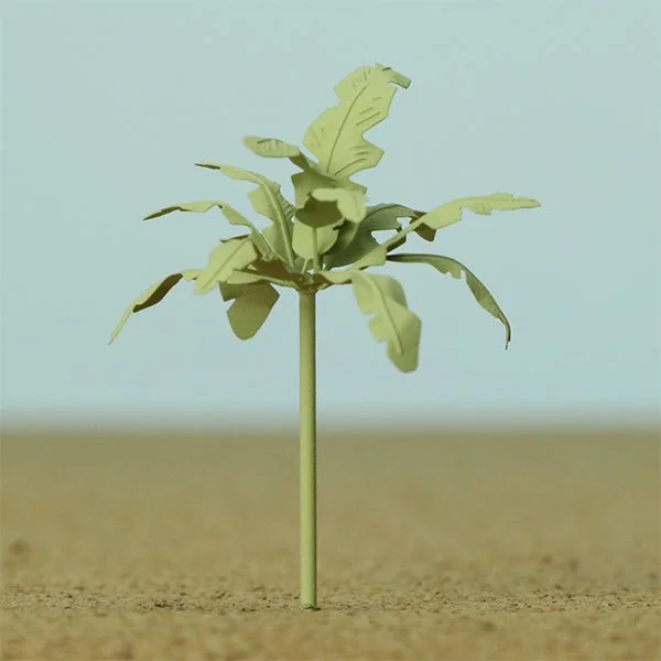 A scale model of a Palm tree