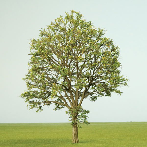 A scale model deciduous tree