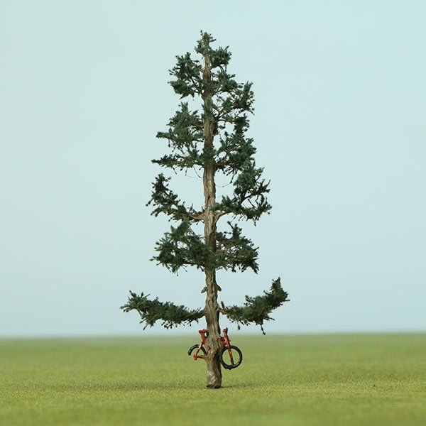 A scale model of a douglas fir tree
