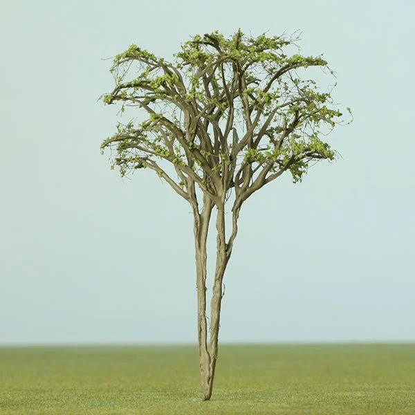 A scale model multi-stem deciduous tree