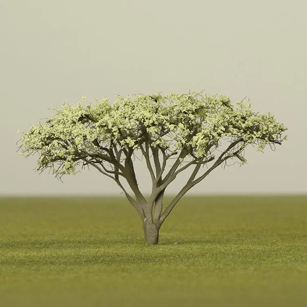 A model acacia tree