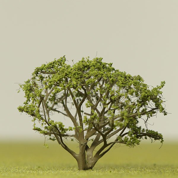 a scale model of a serviceberry tree