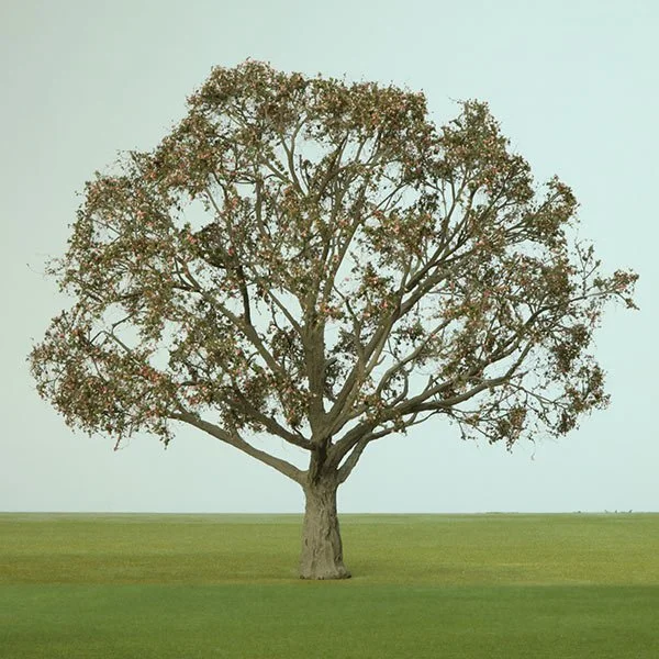 A scale model deciduous tree