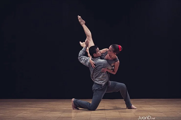 Direcció: Jhosmar Chitty i Oswaldo González.
Ballarins duet: Mireia Puig i Oswaldo Gonzalez
Fotografía: Juand Maestre
Altres ballarins del projecte: Catherine Stuyt, Alexis Sulbaran, Mónica Sirkza.
https://360gradosdanza.com/es/miradas-adentro/