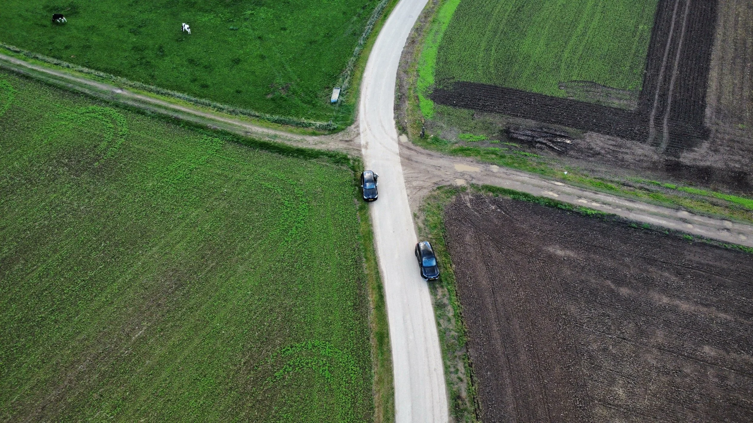 An aerial view of a winding dirt road through a rural area with fields, three black cars on the road, and cows grazing on the green grass.