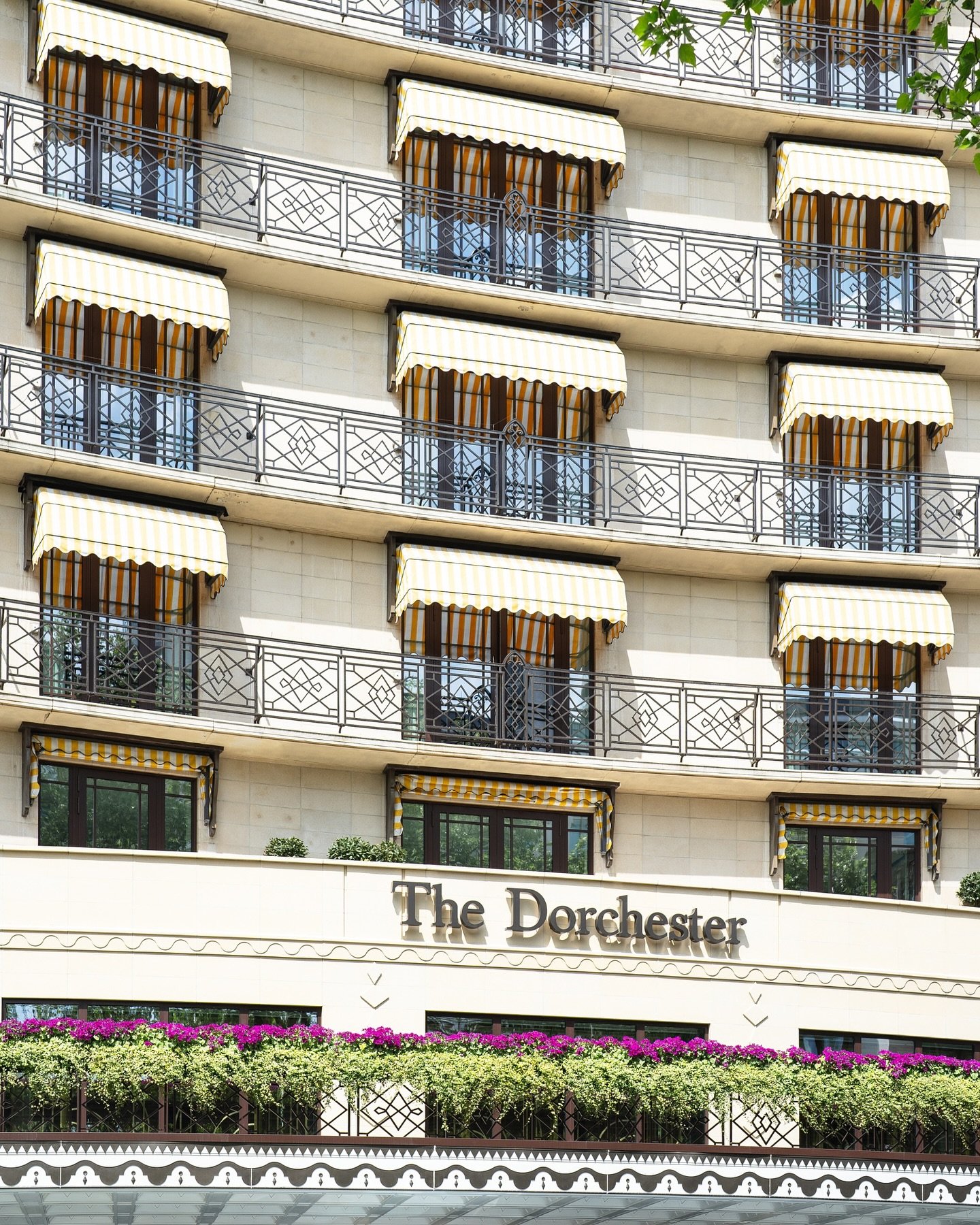 A few favourite frames from @taislany and Julius elegant day 

Bride: @taislany 
Photography: @davidcphotography
Cinematography: @storiesfromeros
MUA: @jennifer_makeup
Flowers: @philiphammondflorist x @thedorchester
Candles &amp; Wedding Gift bag: @g