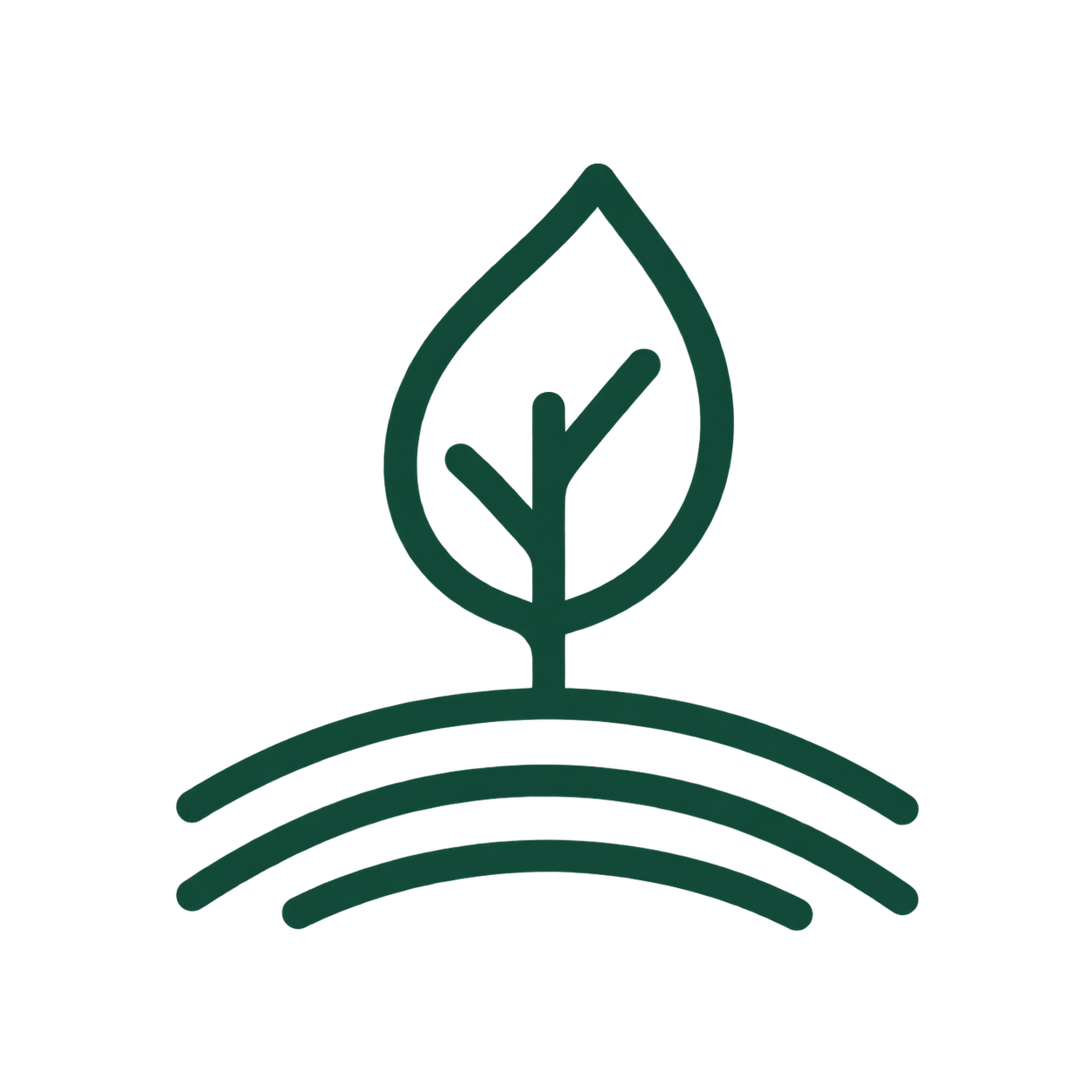 Icon of a leaf on contour lines, representing responsible development.