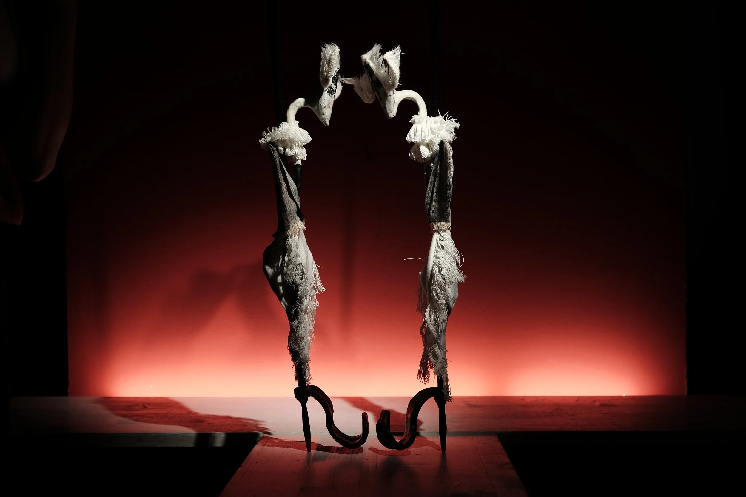 DSCF5363.JPG