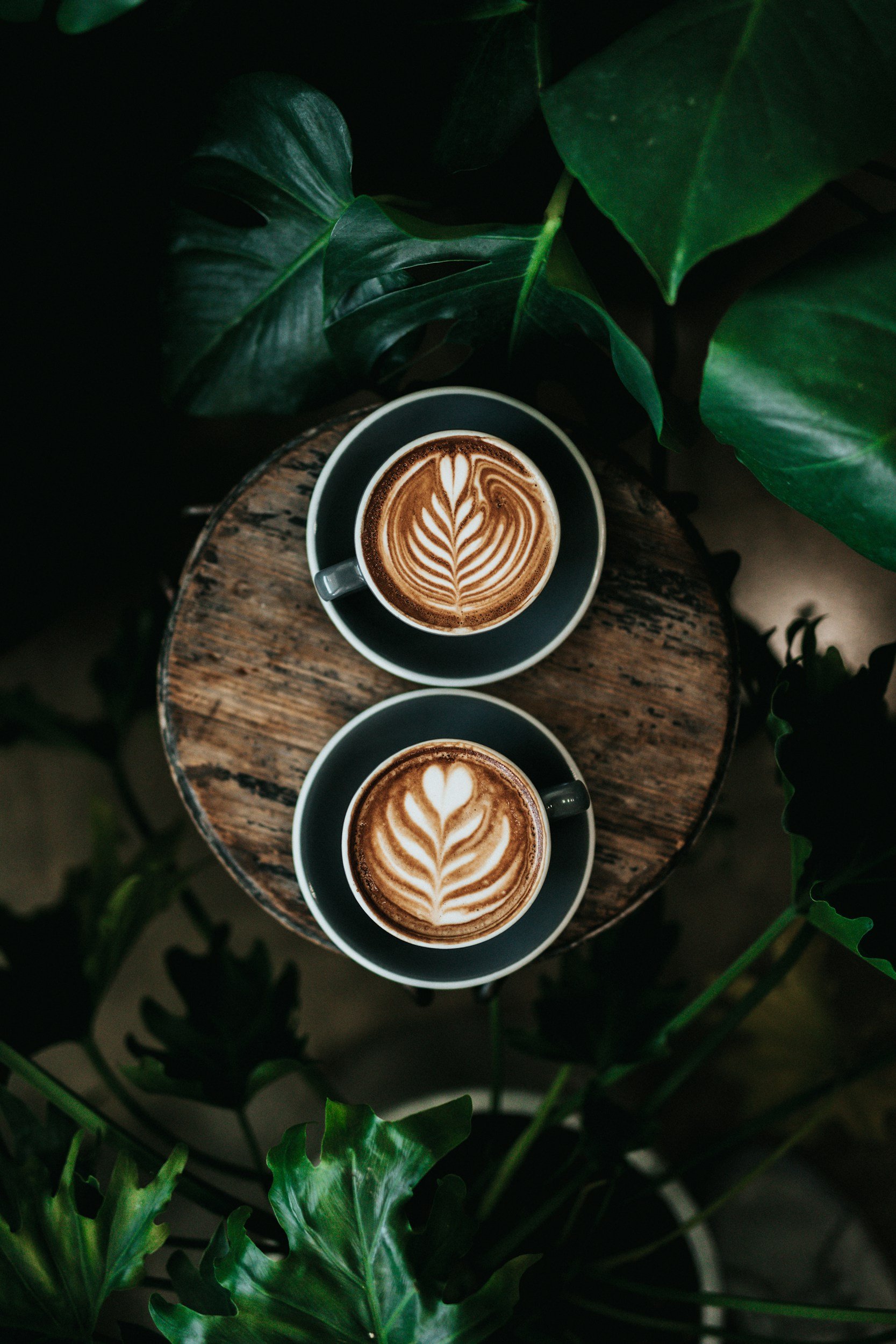 two cups of coffee in dark cups on a wooden table with dark green plants