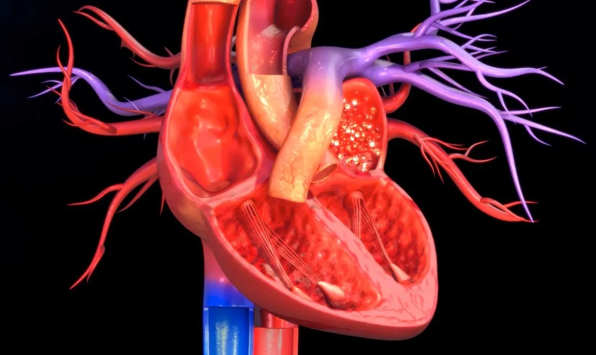 Introducing Our New Health Education Hub