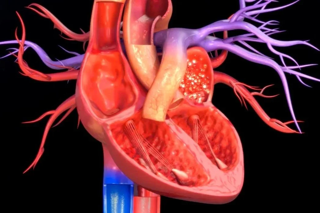 Introducing Our Health Education Hub